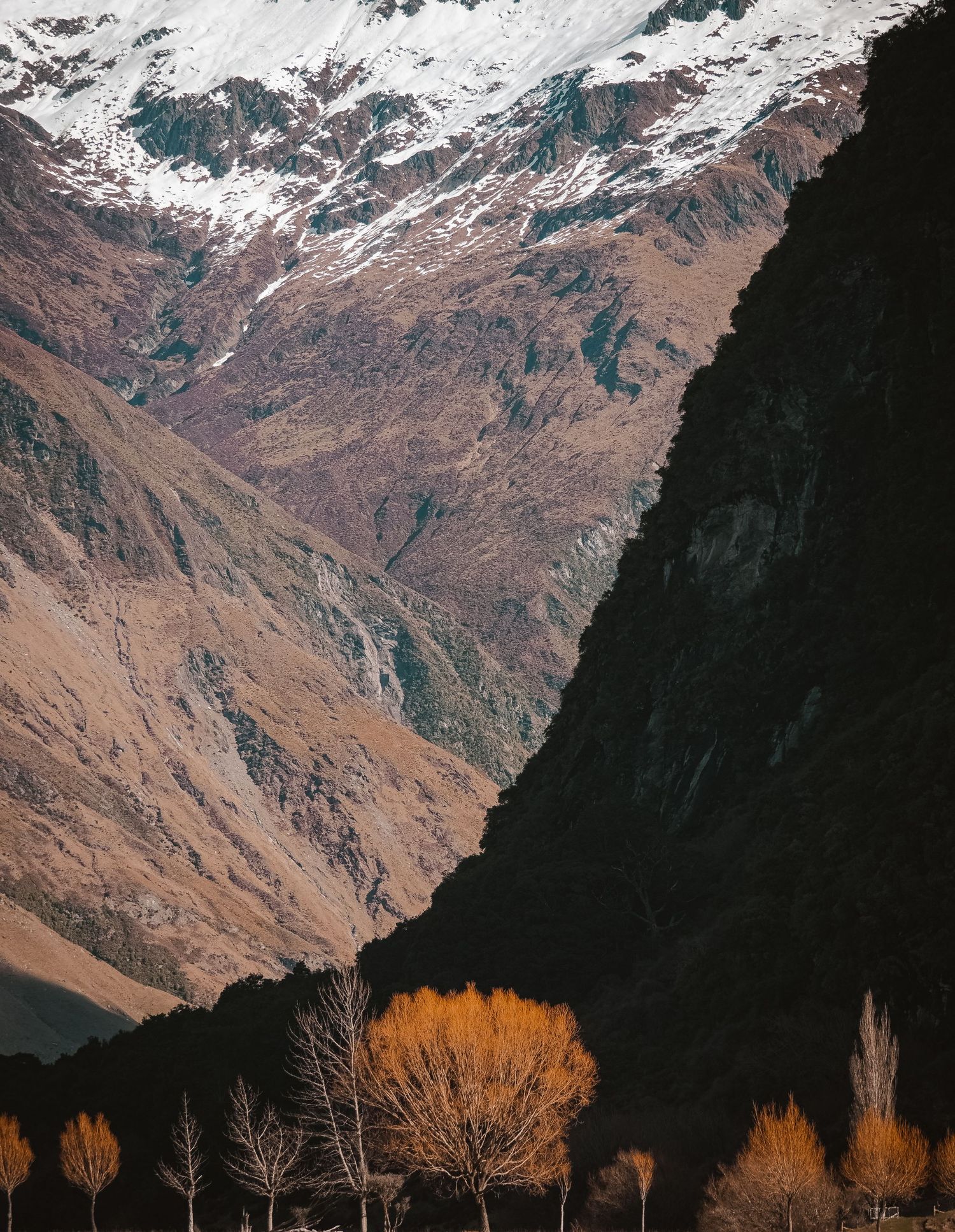 Snowy mountain peaks rise above golden autumn trees in a dramatic alpine landscape at sunset.