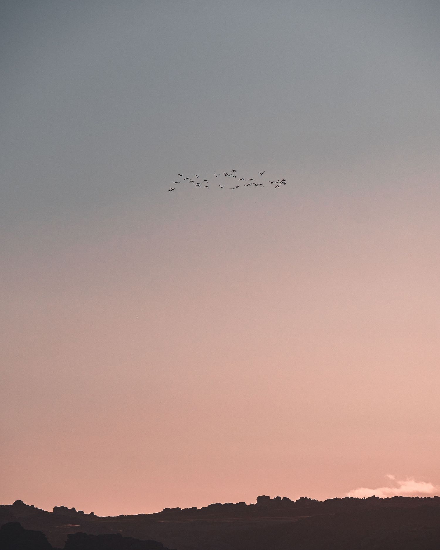 A flock of birds soars across a dusky pink and purple sunset sky silhouetted against a dark mountain ridge.