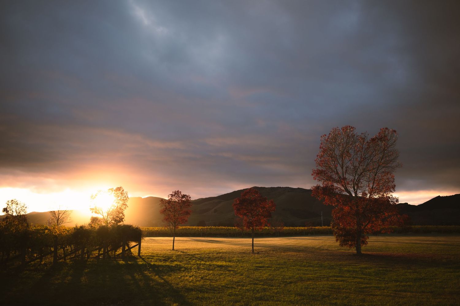 Dramatic sunset over a green field with autumn trees and rolling hills under a stormy sky.