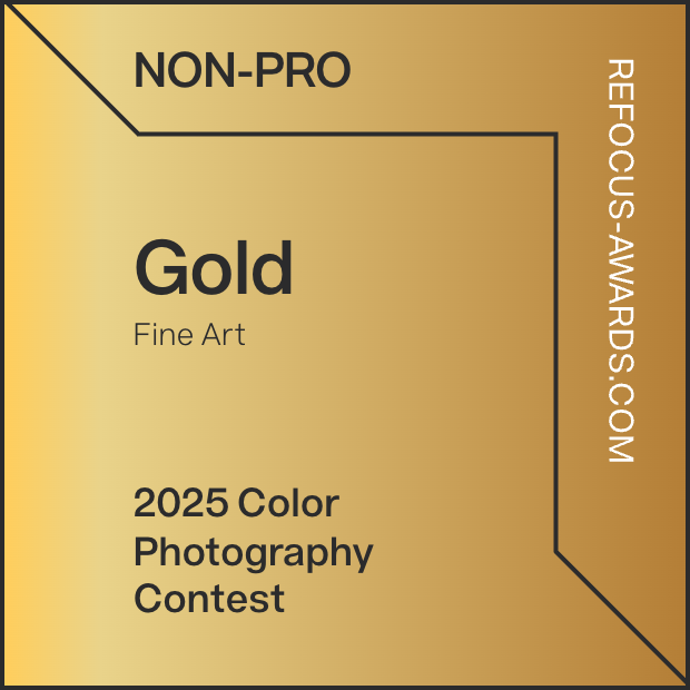 Gold text overlays featuring Fine Art, Photography, and Contest details on warm metallic gradient backgrounds.