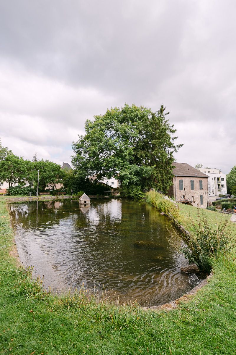 Die Welsche Mühle in Aachen Haaren liegt eingebettet zwischen grünen Bäumen und sanften Hügeln auf dem Land.