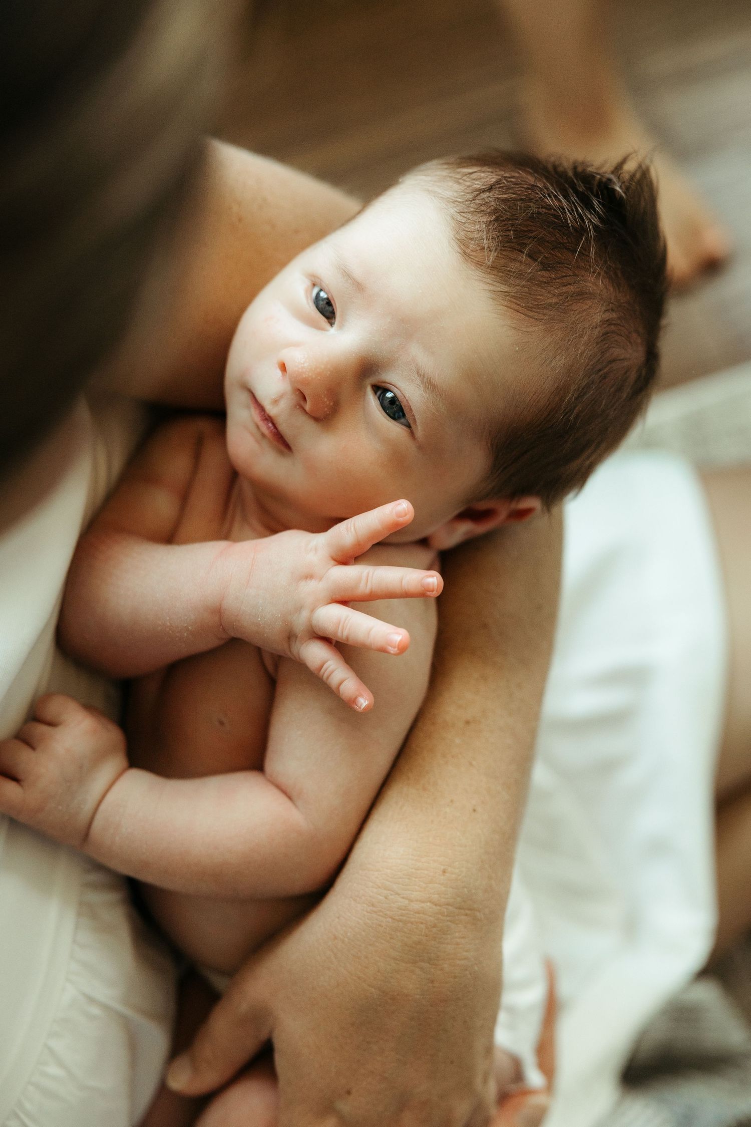 A newborn baby rests peacefully in their parent's arms with soft lighting and a gentle expression.