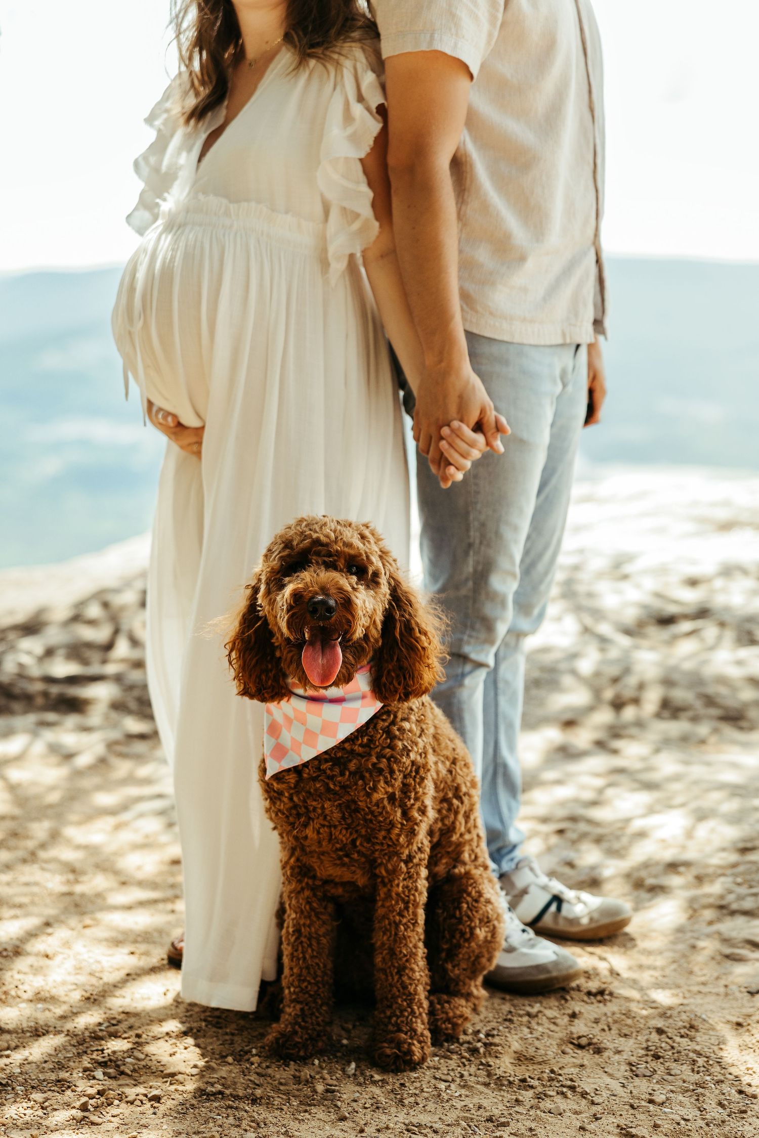 Brown curly-haired dog sits on beach sand next to couple wearing white and denim during outdoor photoshoot.