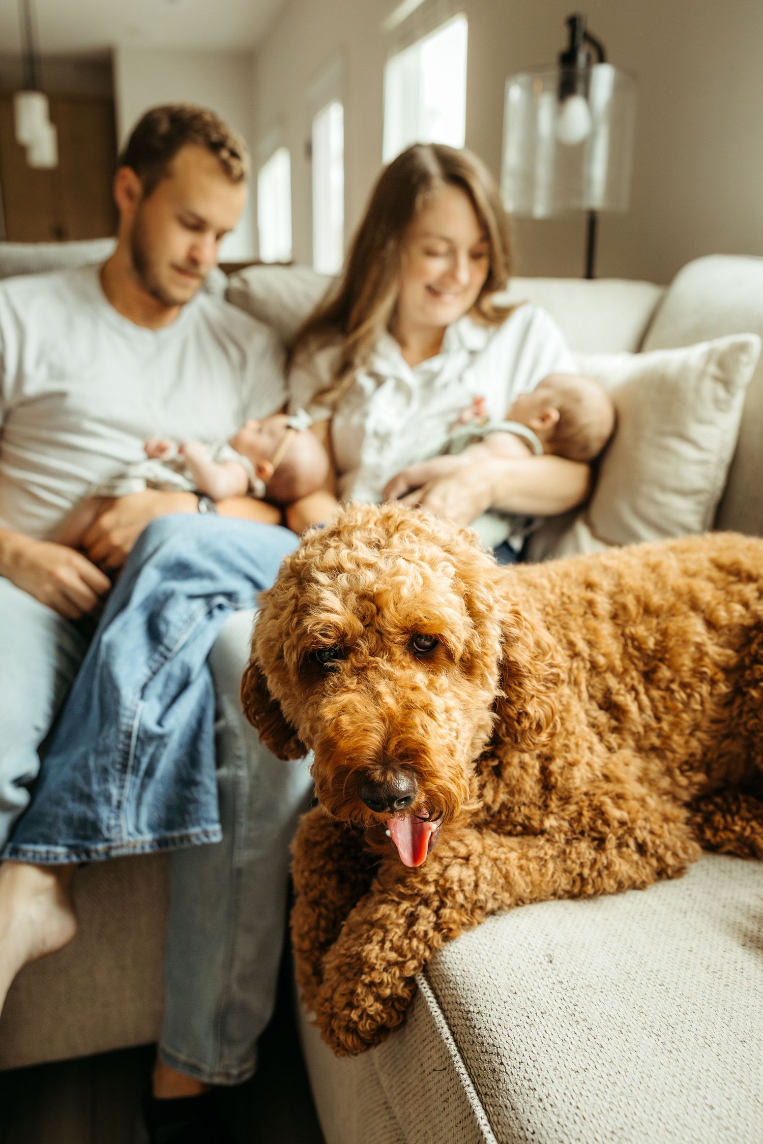 A goldendoodle dog rests on a couch while a family relaxes together in a sunlit living room.