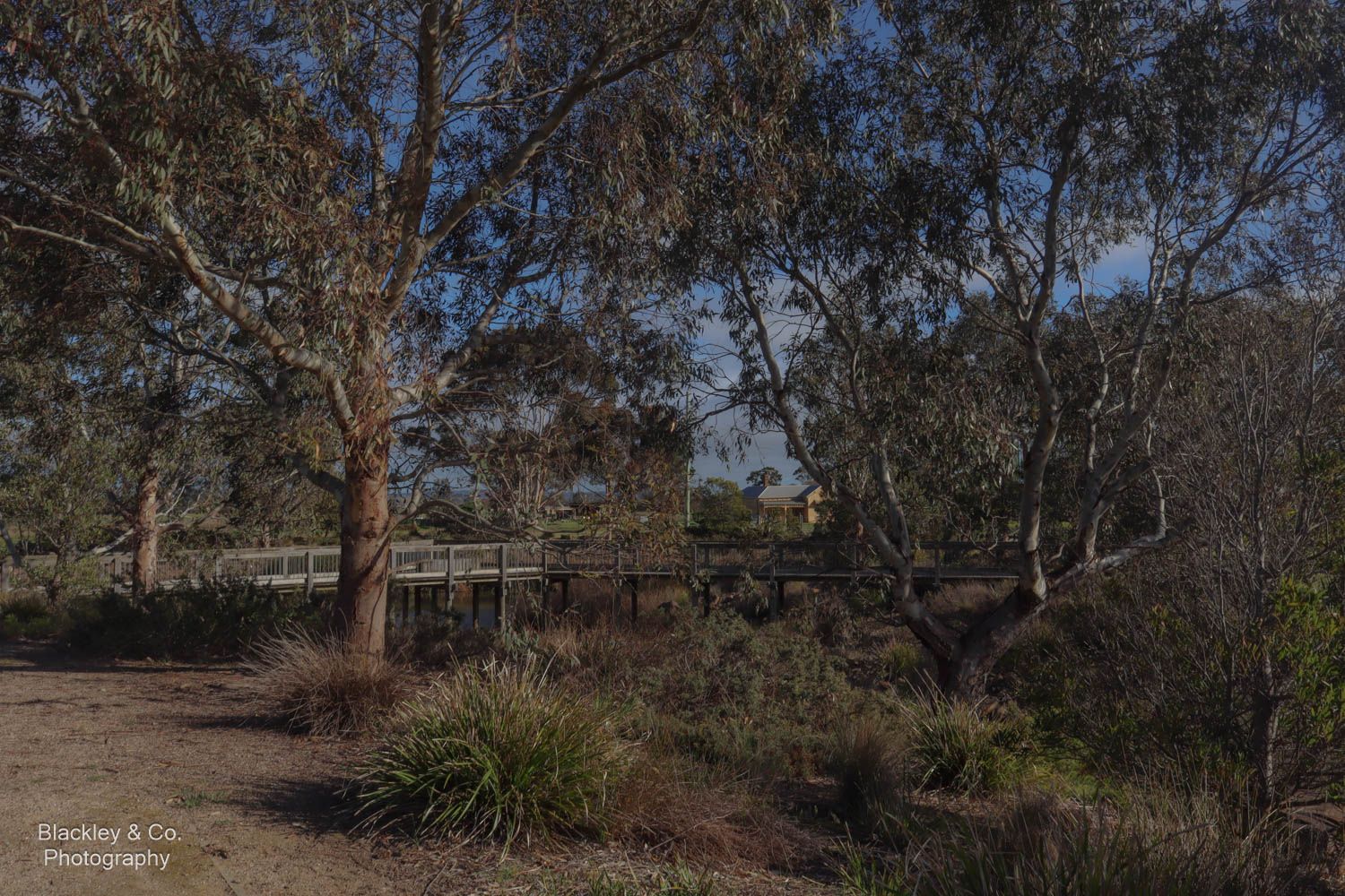 walking path