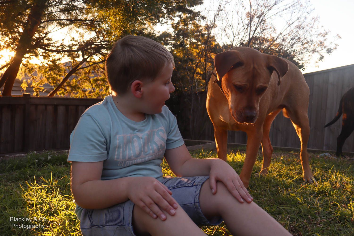 Child with pet dos