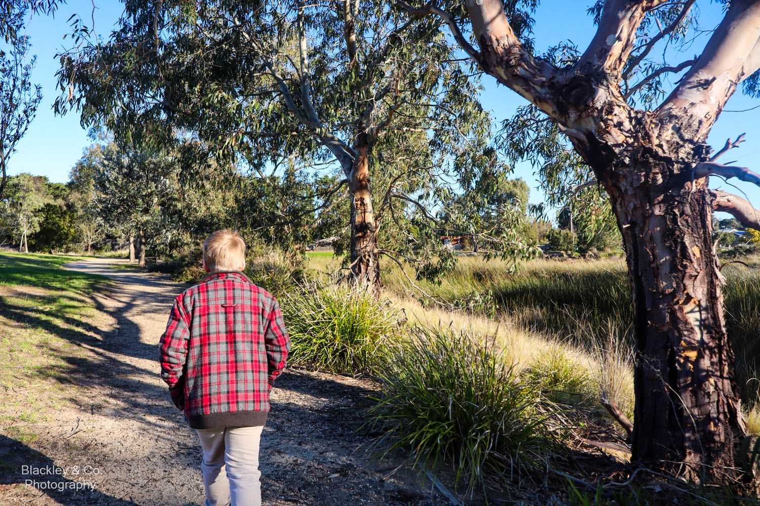 boy walking on path