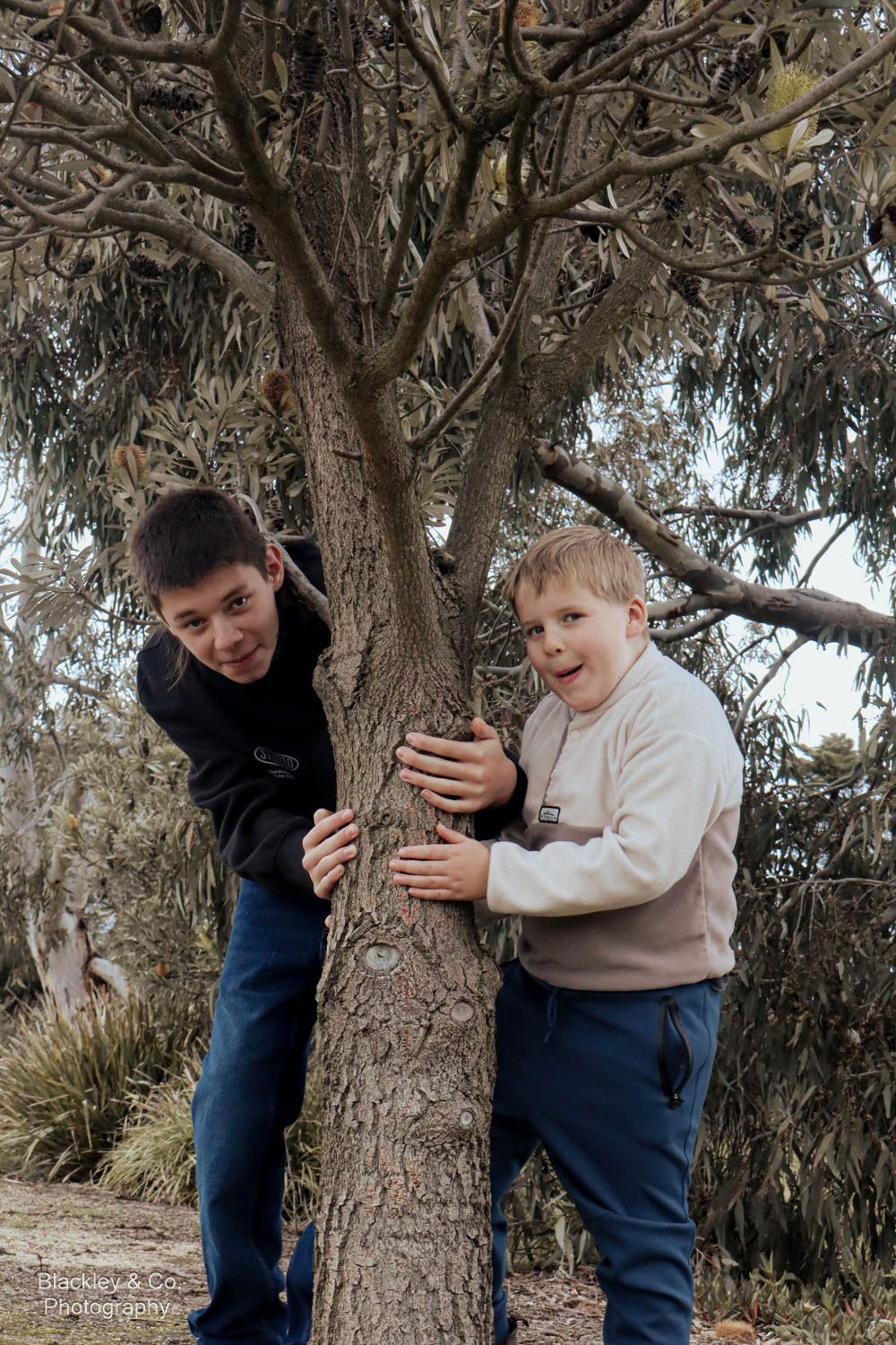 boys jumping out from tree