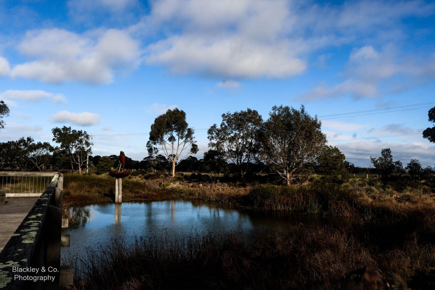 local pond