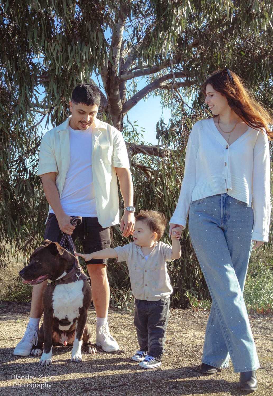 Family with toddler and brown pit bull dog walking on a dirt path surrounded by eucalyptus trees outdoors.