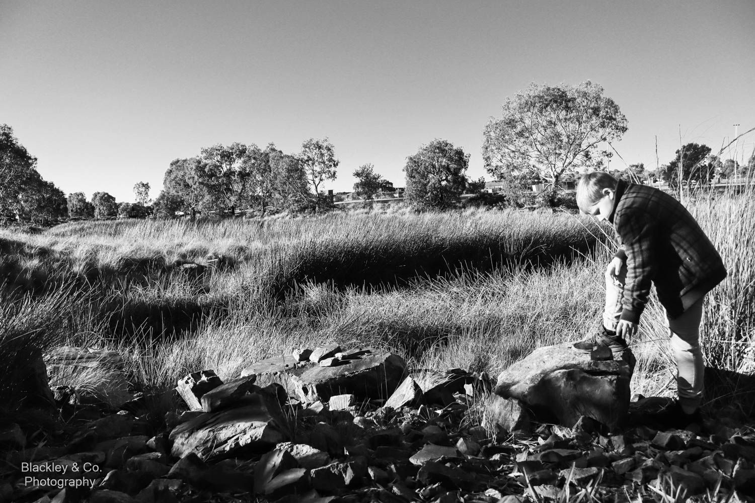 boy playing with rocks