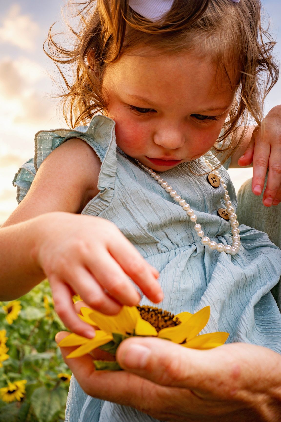Young girl in blue dress examines a sunflower held in adult hands outdoors.