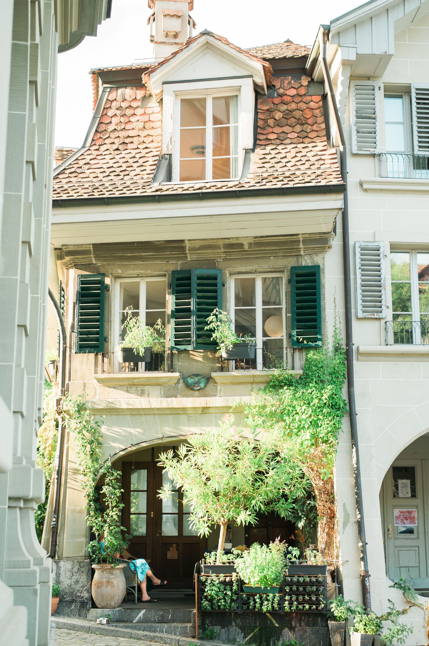 Charming historic buildings and greenery in a European town