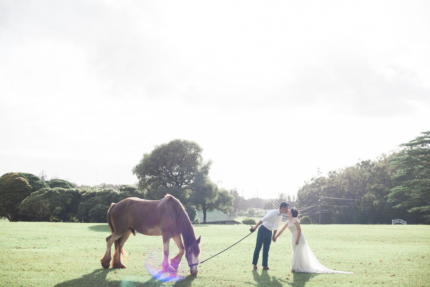 Bride and groom walking beside a horse during an outdoor wedding in Hawaii