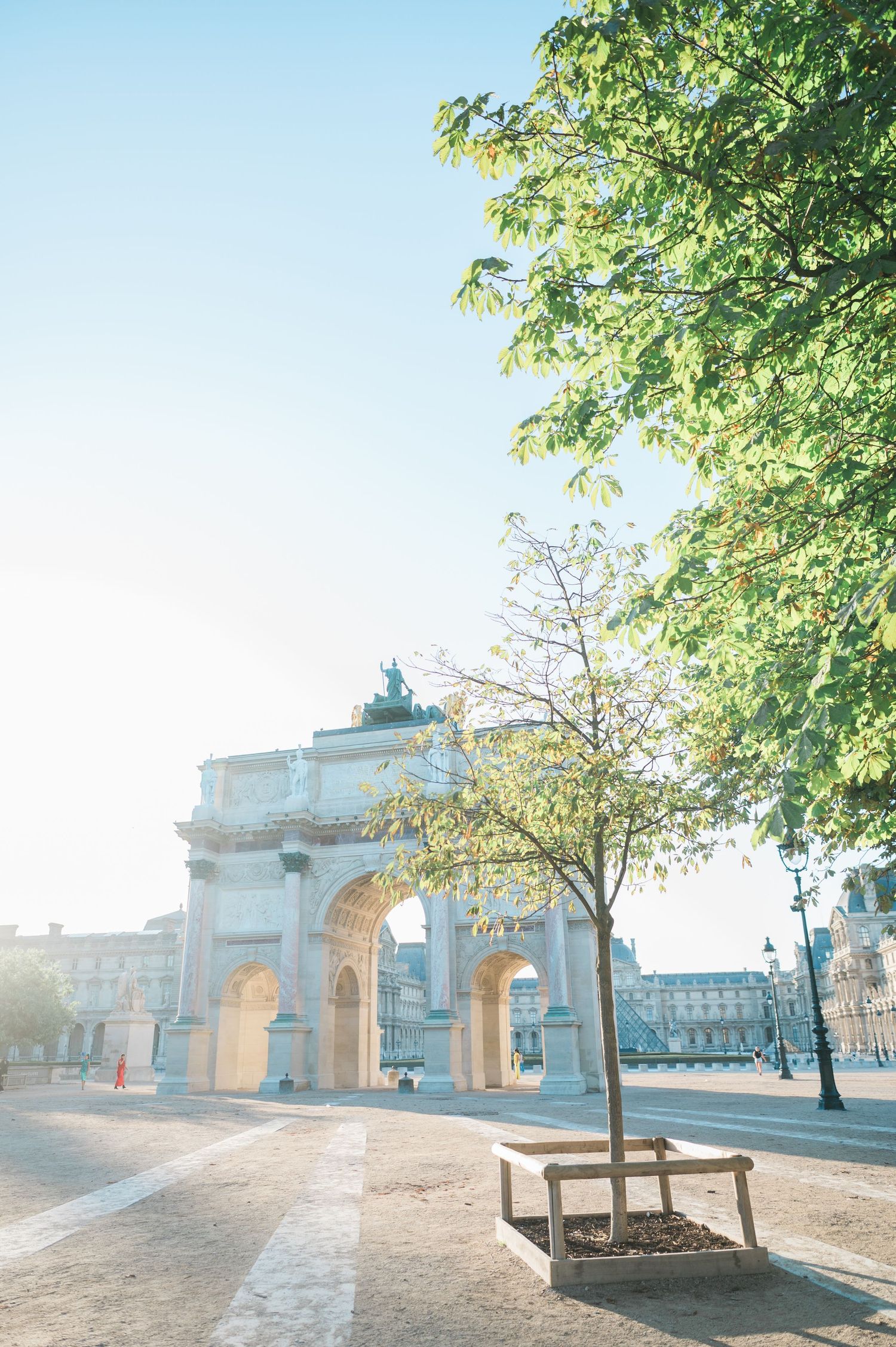 Parisian architecture framed by trees on a sunny day
