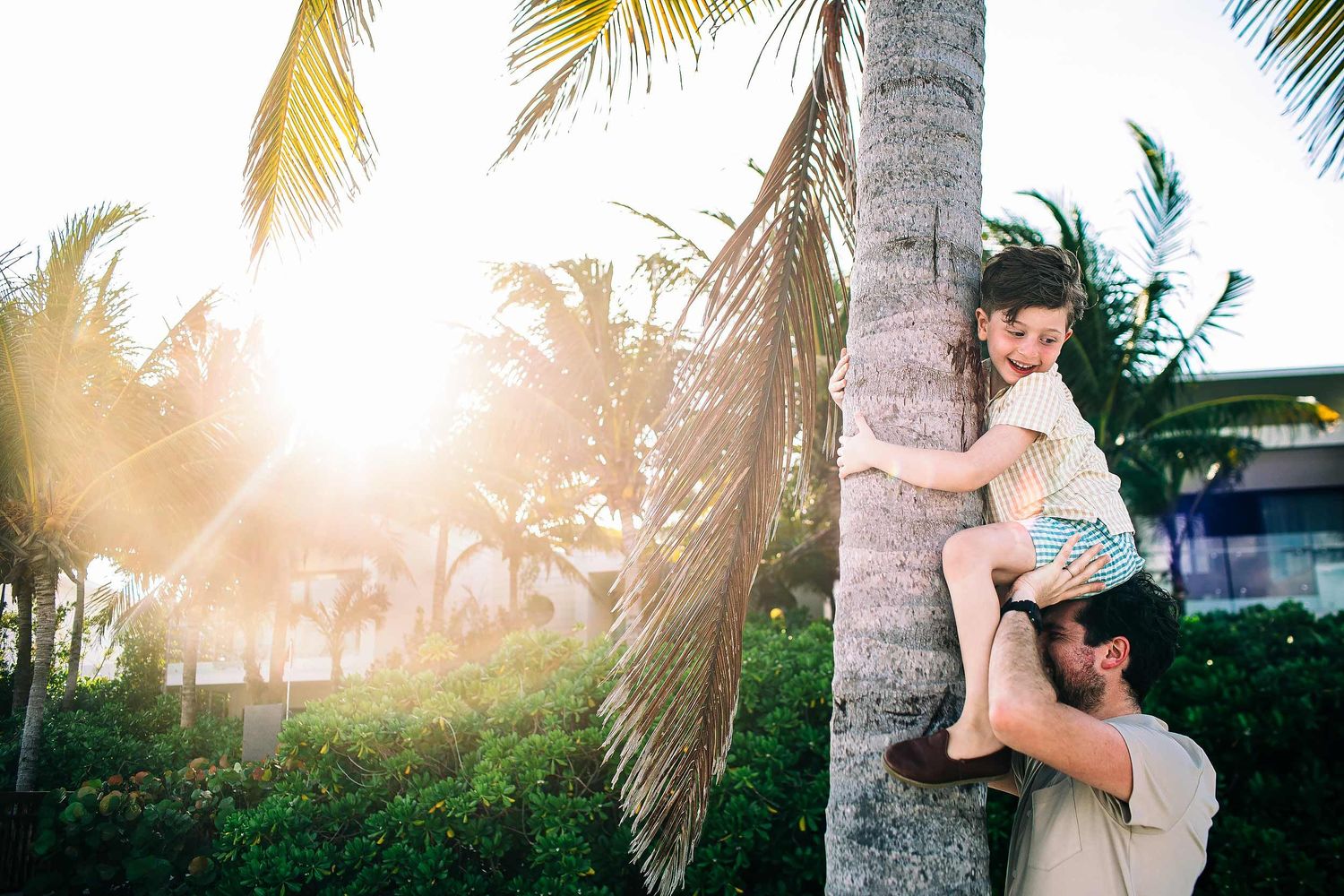 Child climbing a palm tree during a fun family photo session at Fairmont Mayakoba in Playa del Carmen.