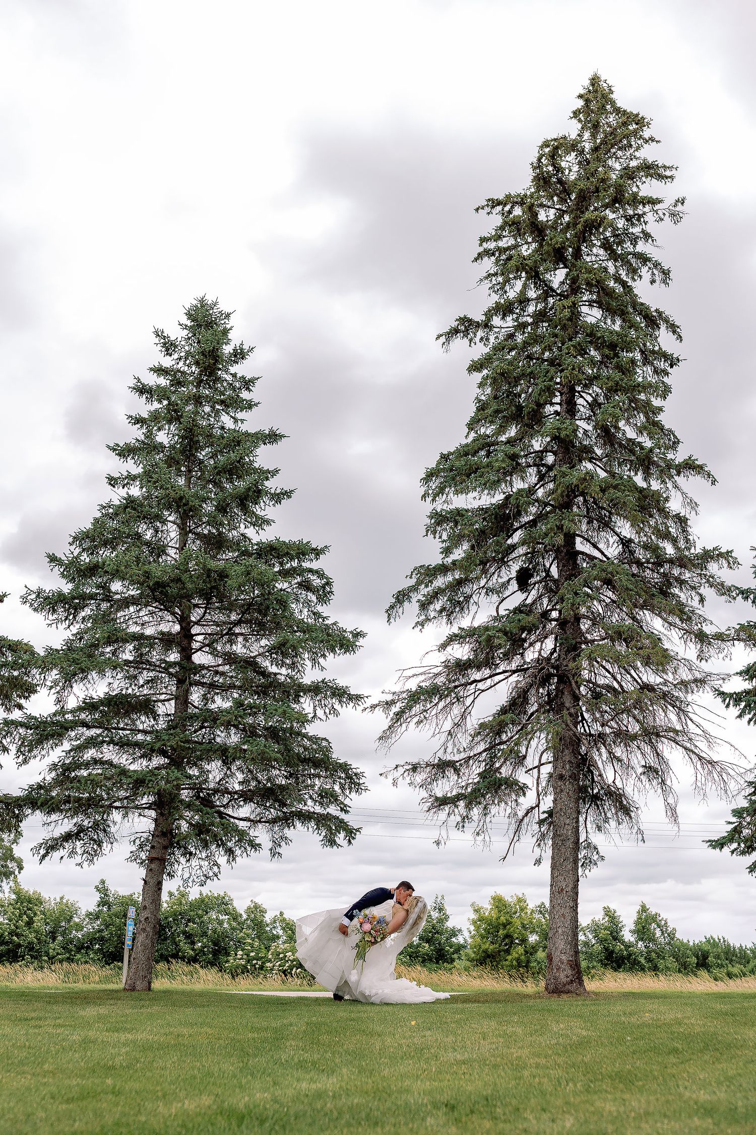David dipping and kissing Claire between two towering evergreen trees on a grassy lawn at their Wisconsin wedding.