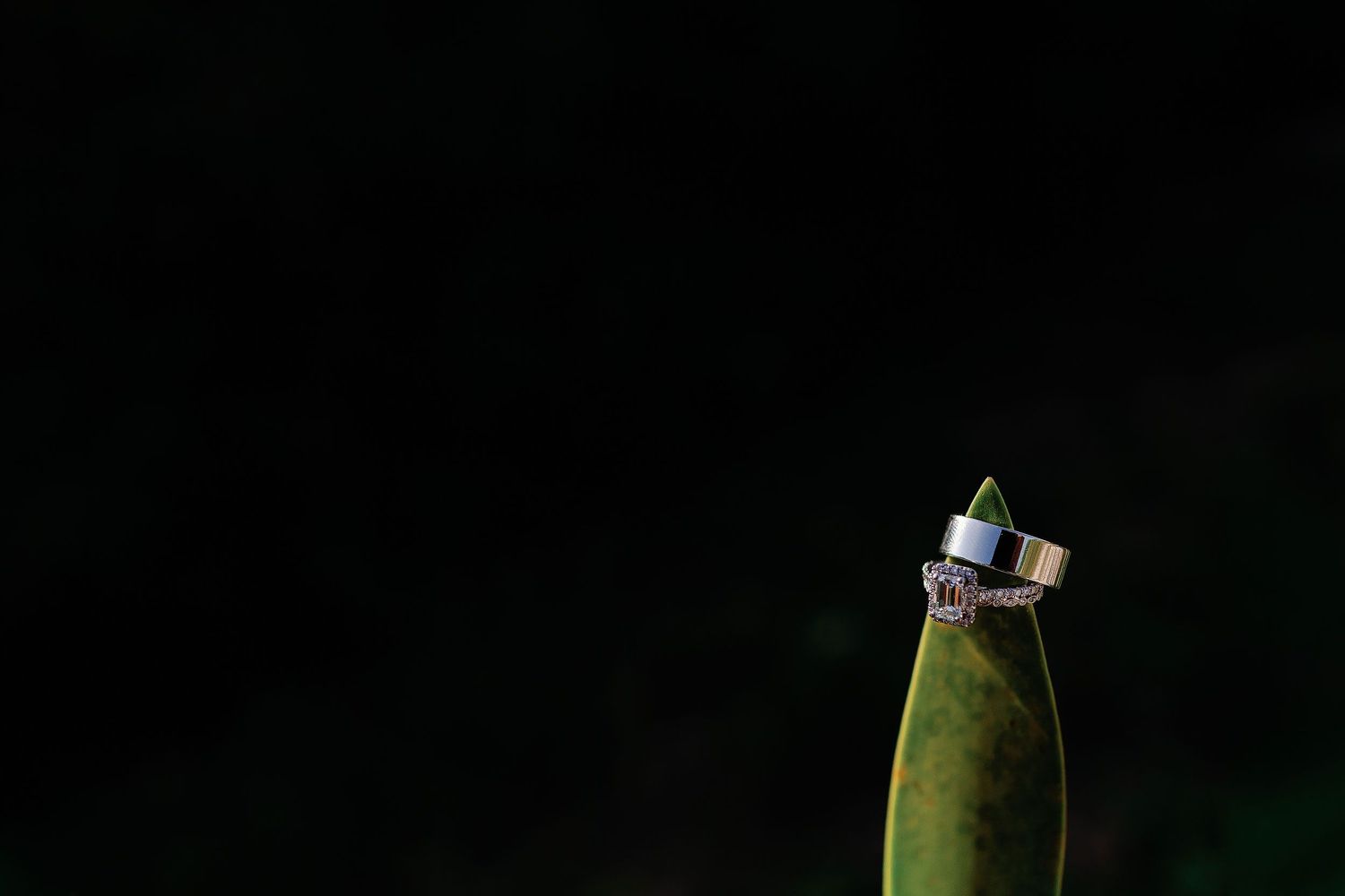 Wedding band and gemstone engagement ring balanced on the tip of a green leaf against a dark background.