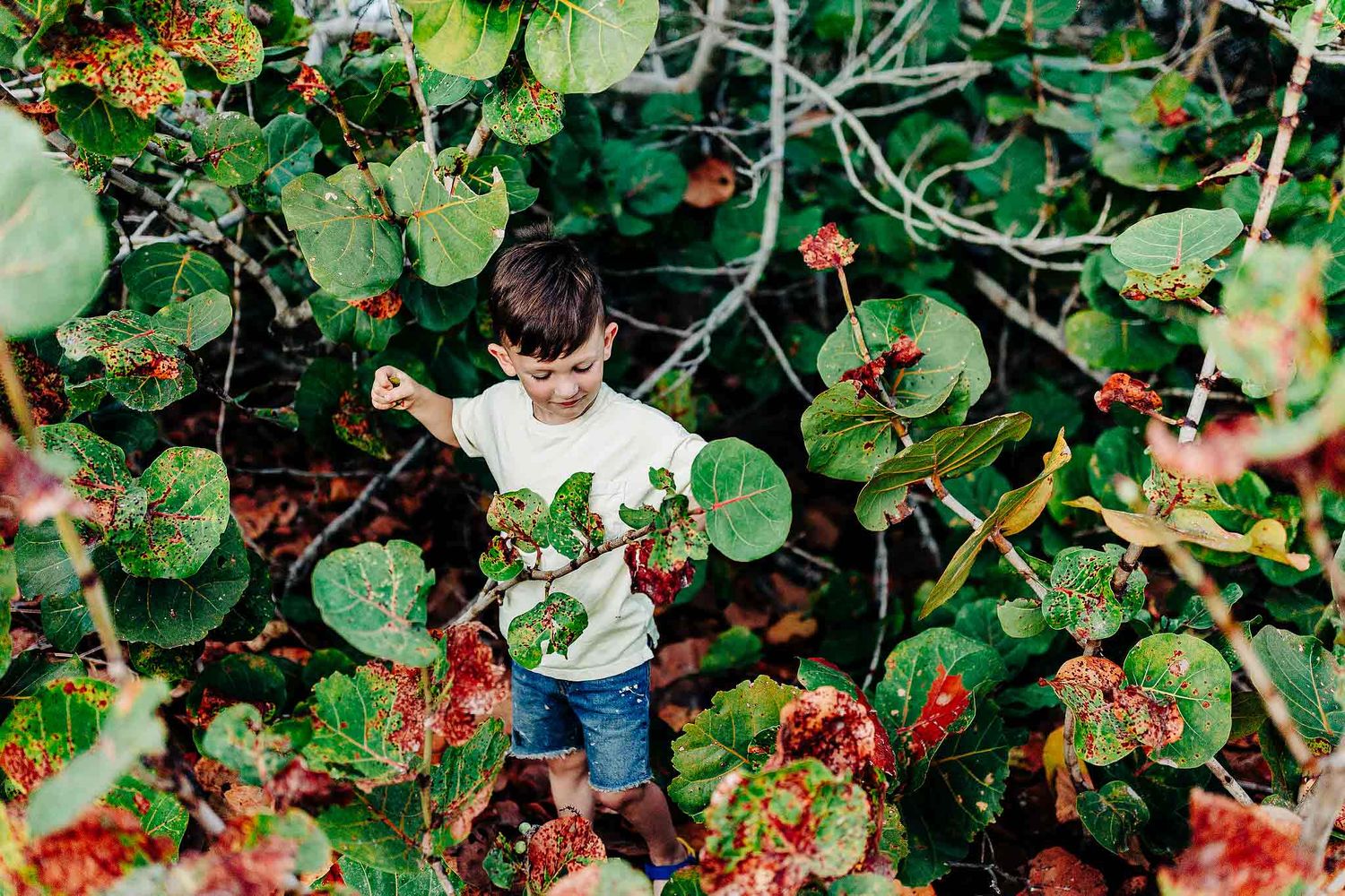 Family portrait among tropical plants during a Playa del Carmen photoshoot