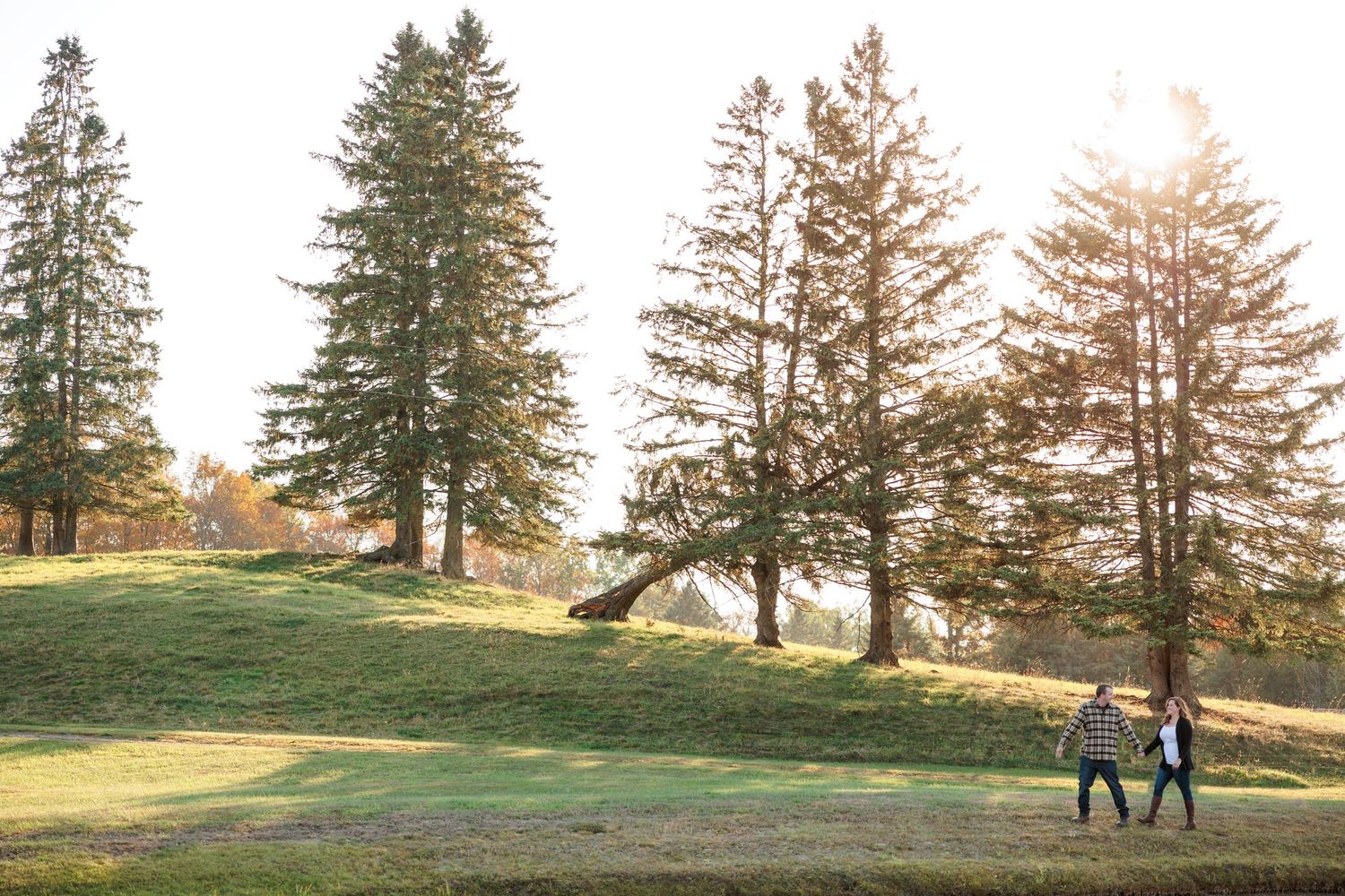 Couple walking hand in hand across a sunny green hill surrounded by tall evergreen trees.