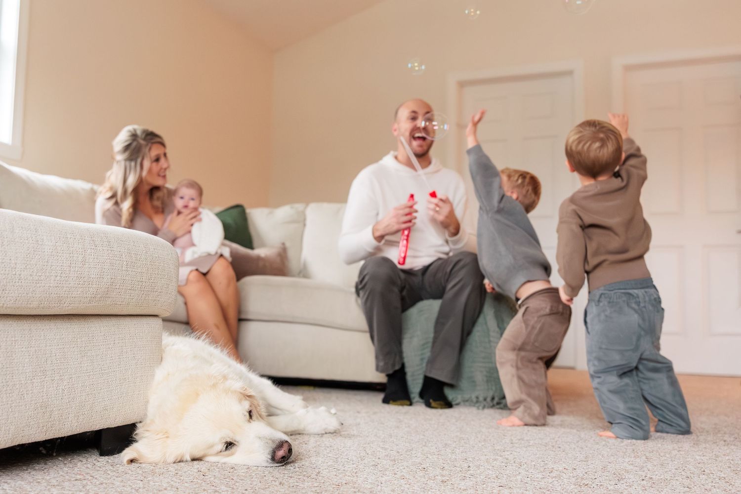 Dog resting on carpet while people sit and relax in cozy living room setting.