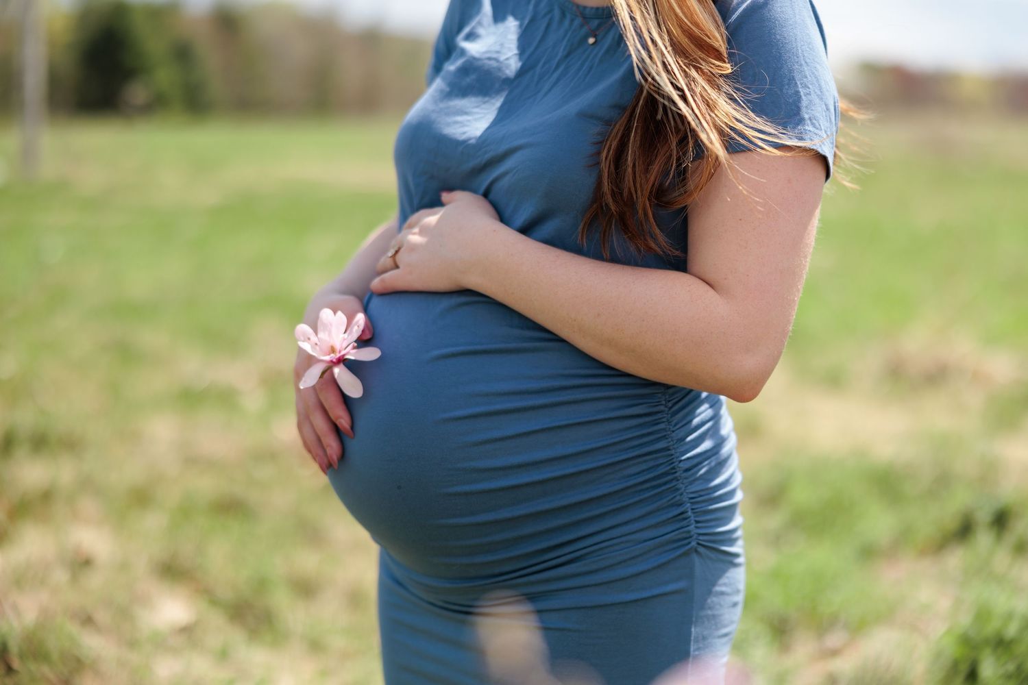 Close-up of pregnant woman in blue dress holding a pink flower against her baby bump in a green field.