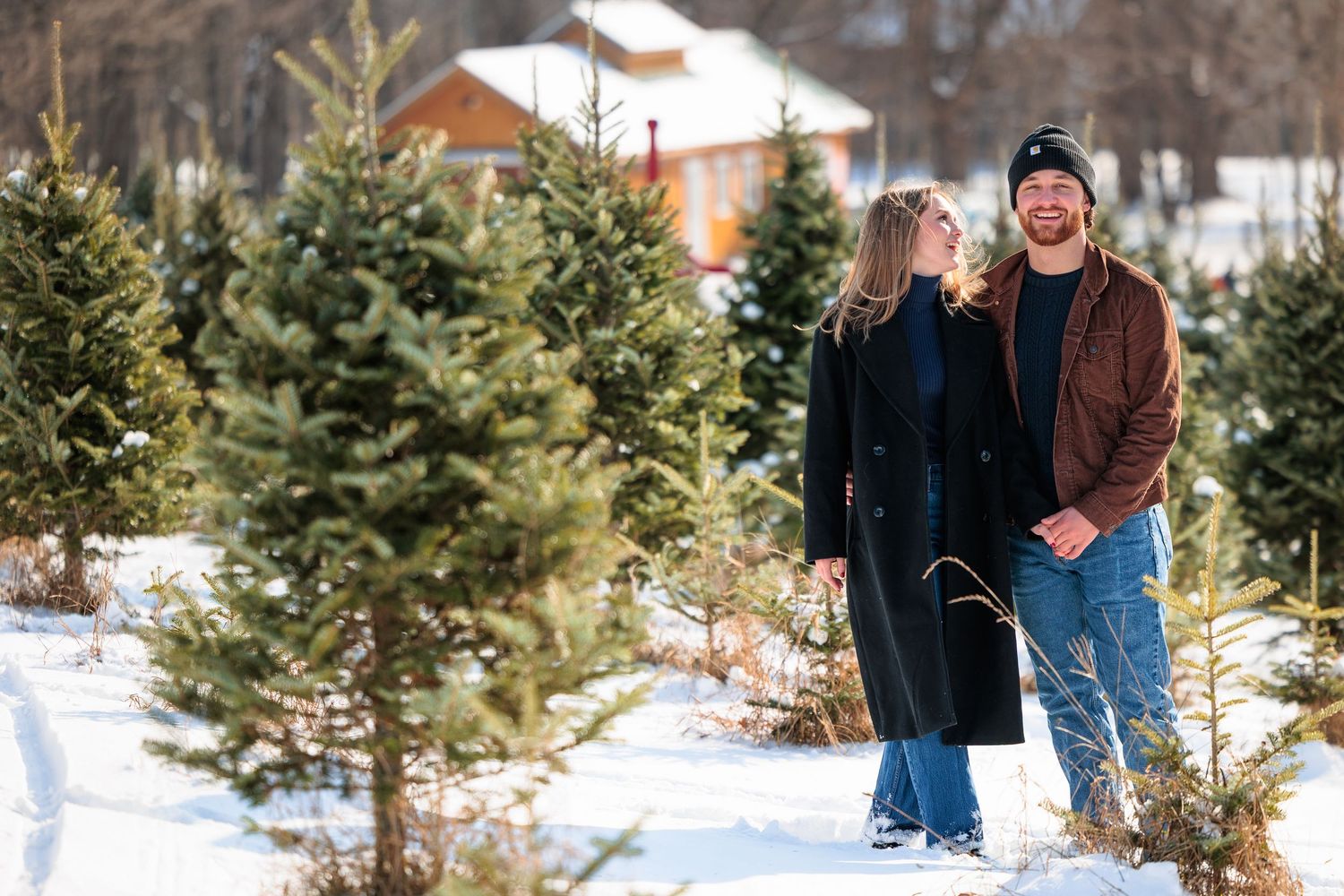 Happy couple walking hand in hand through a snowy Christmas tree farm on a bright winter day.