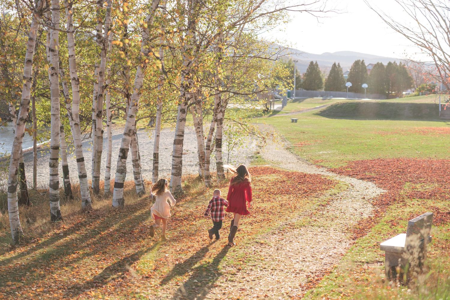 Family walking on leaf-covered path among white birch trees during colorful fall season outdoors.