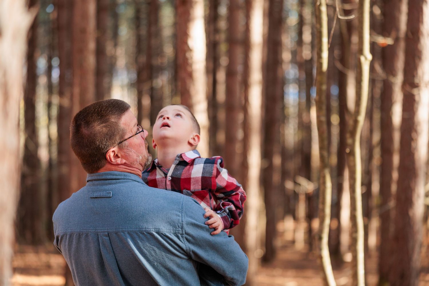 Father holding young boy in plaid shirt as they look up together in sunlit pine forest.