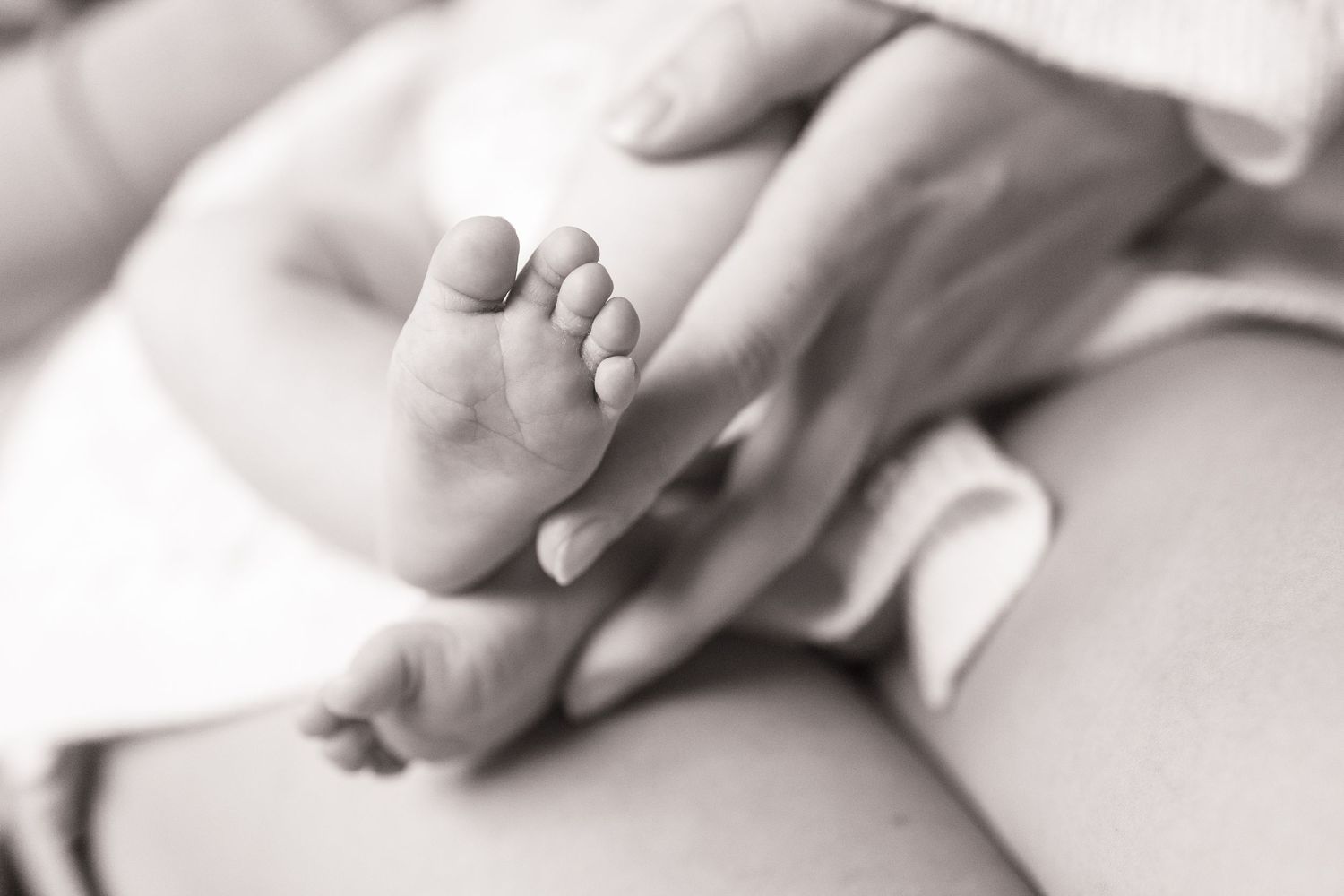 Black and white close-up of intertwined hands showing tender connection and intimacy.