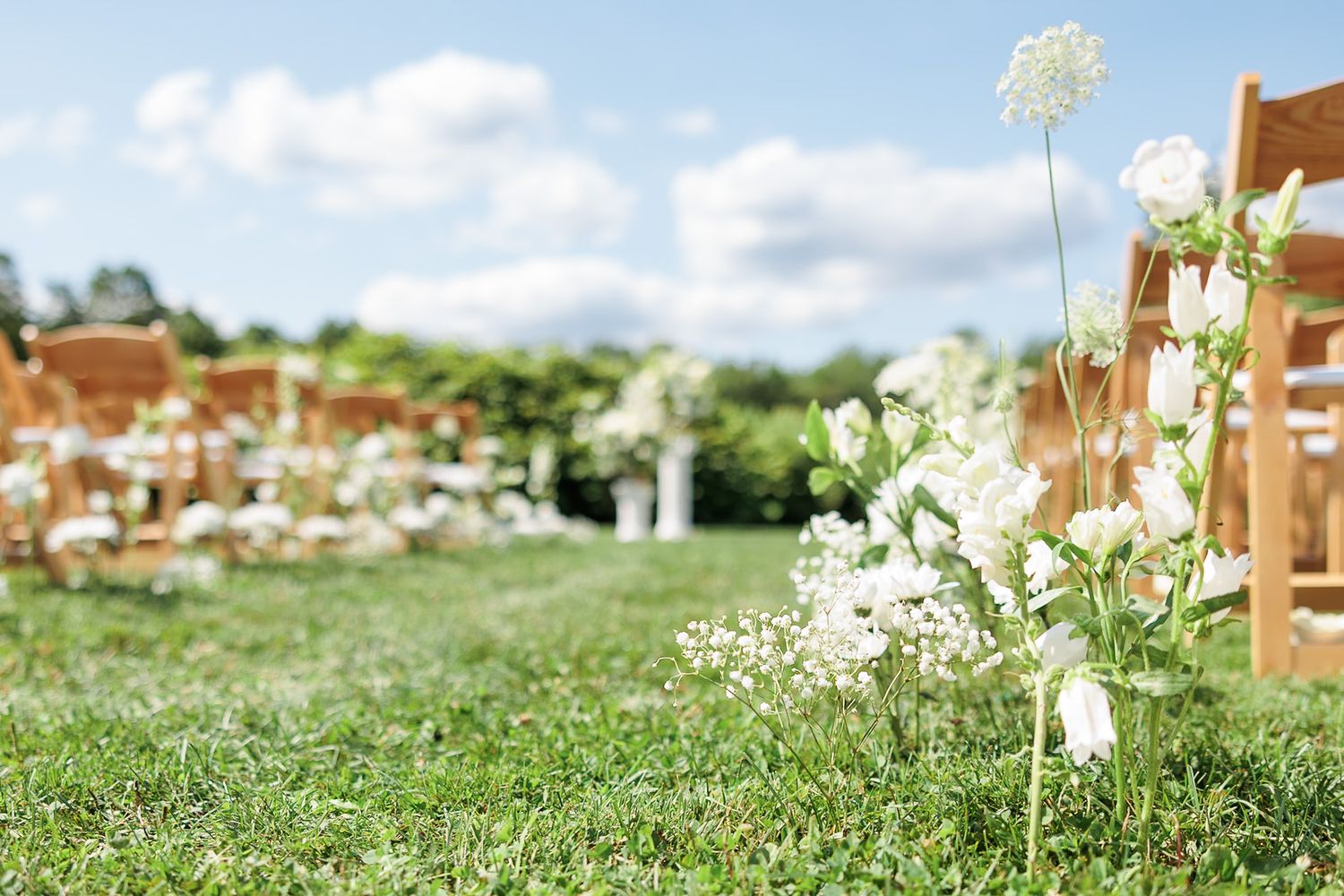 Elegant outdoor wedding ceremony setup with white wildflowers lining wooden chairs on lush green lawn.