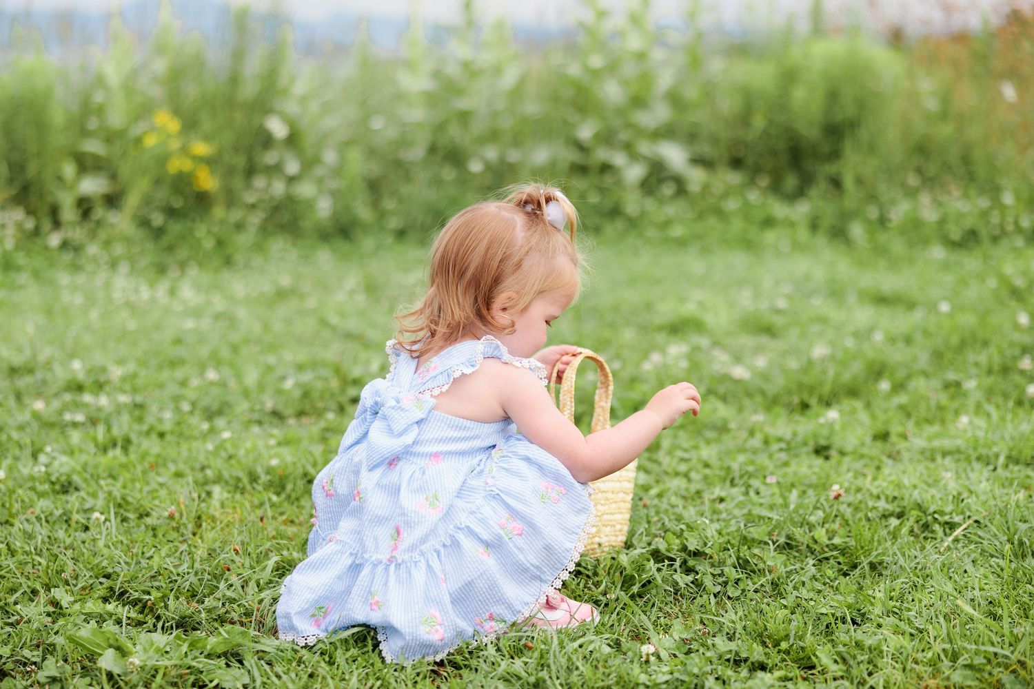 Adorable toddler girl in a blue dress sitting on grass examining a small wicker basket.