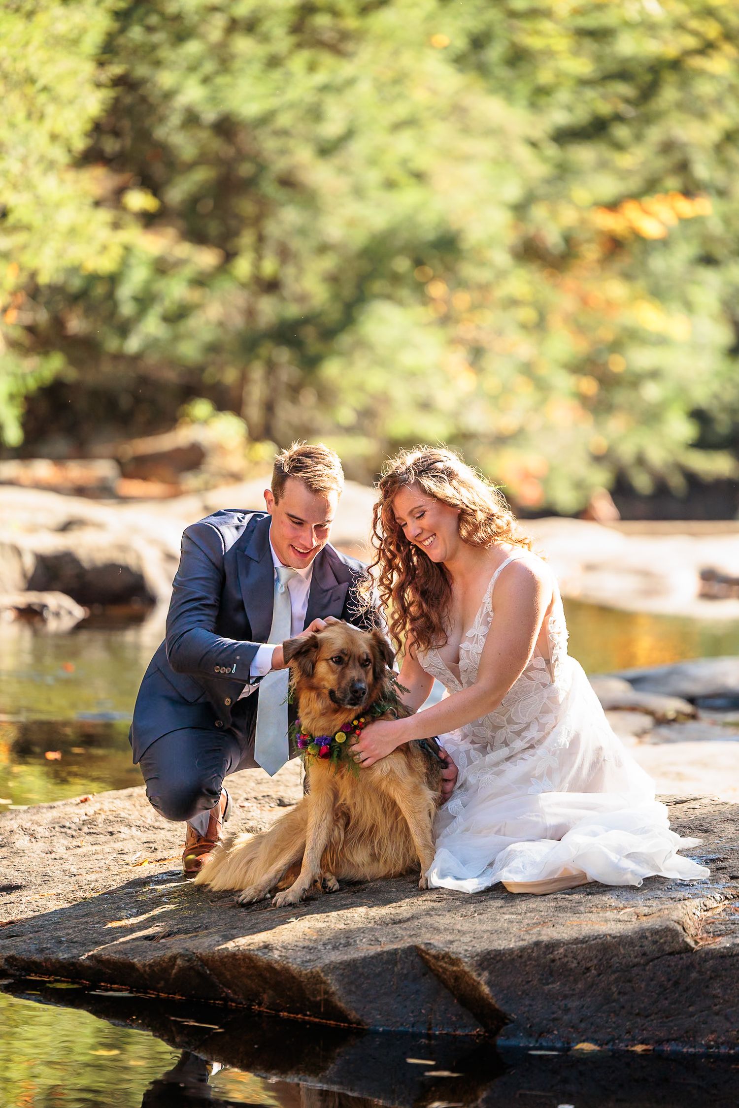 Bride and groom crouch with their decorated dog on rocks by a river, surrounded by autumn foliage.