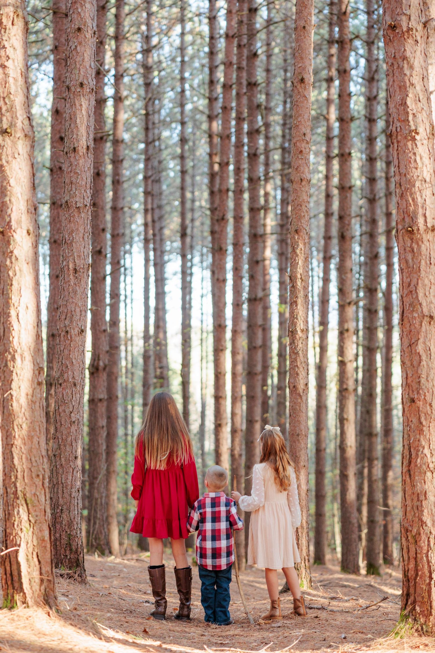 Three children in coordinating outfits walking hand in hand through tall pine tree forest path.