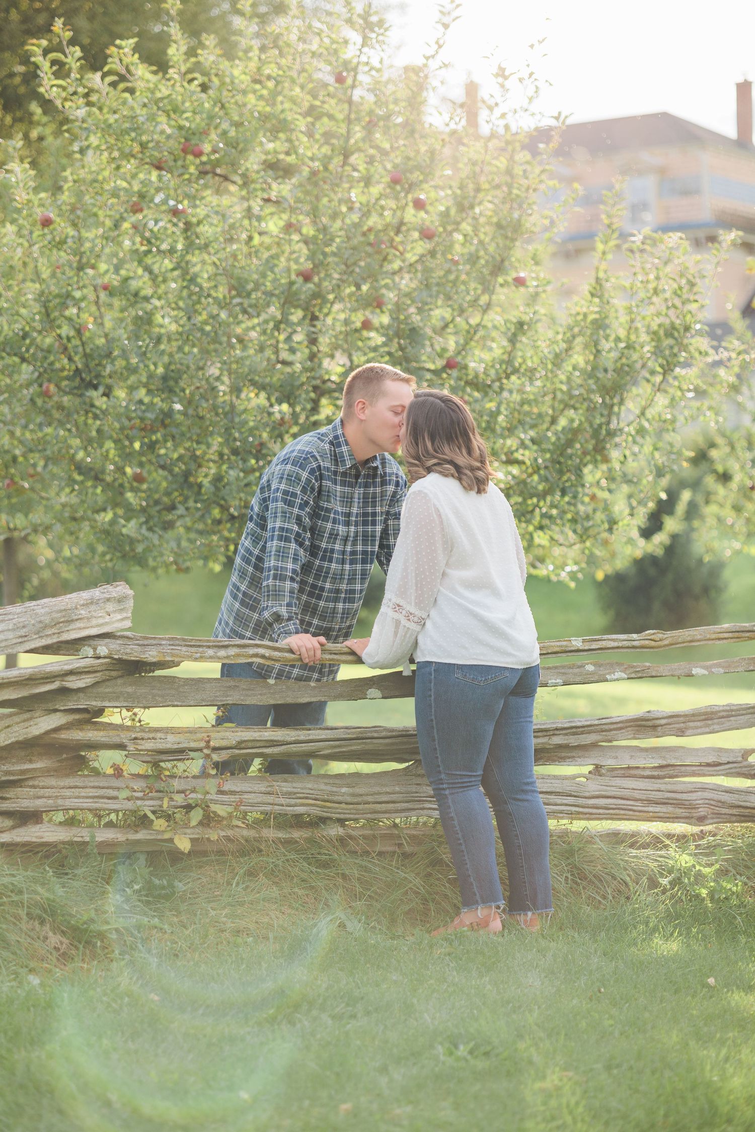 Couple sharing a kiss over a rustic wooden fence in an apple orchard at sunset.