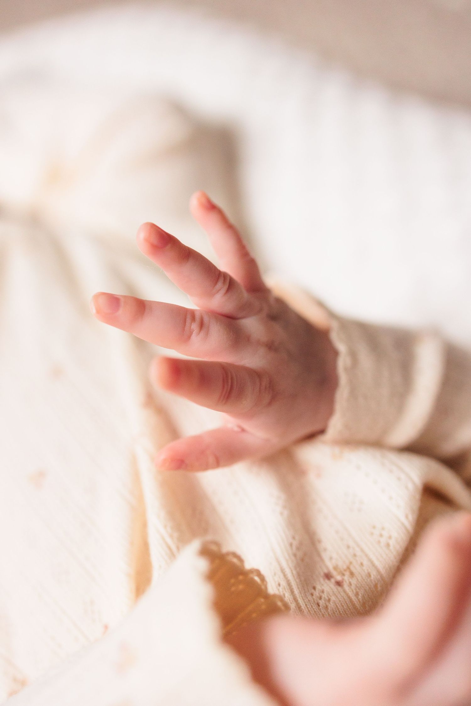 Gentle close-up photos of tiny baby hands reaching against white knitted fabric.