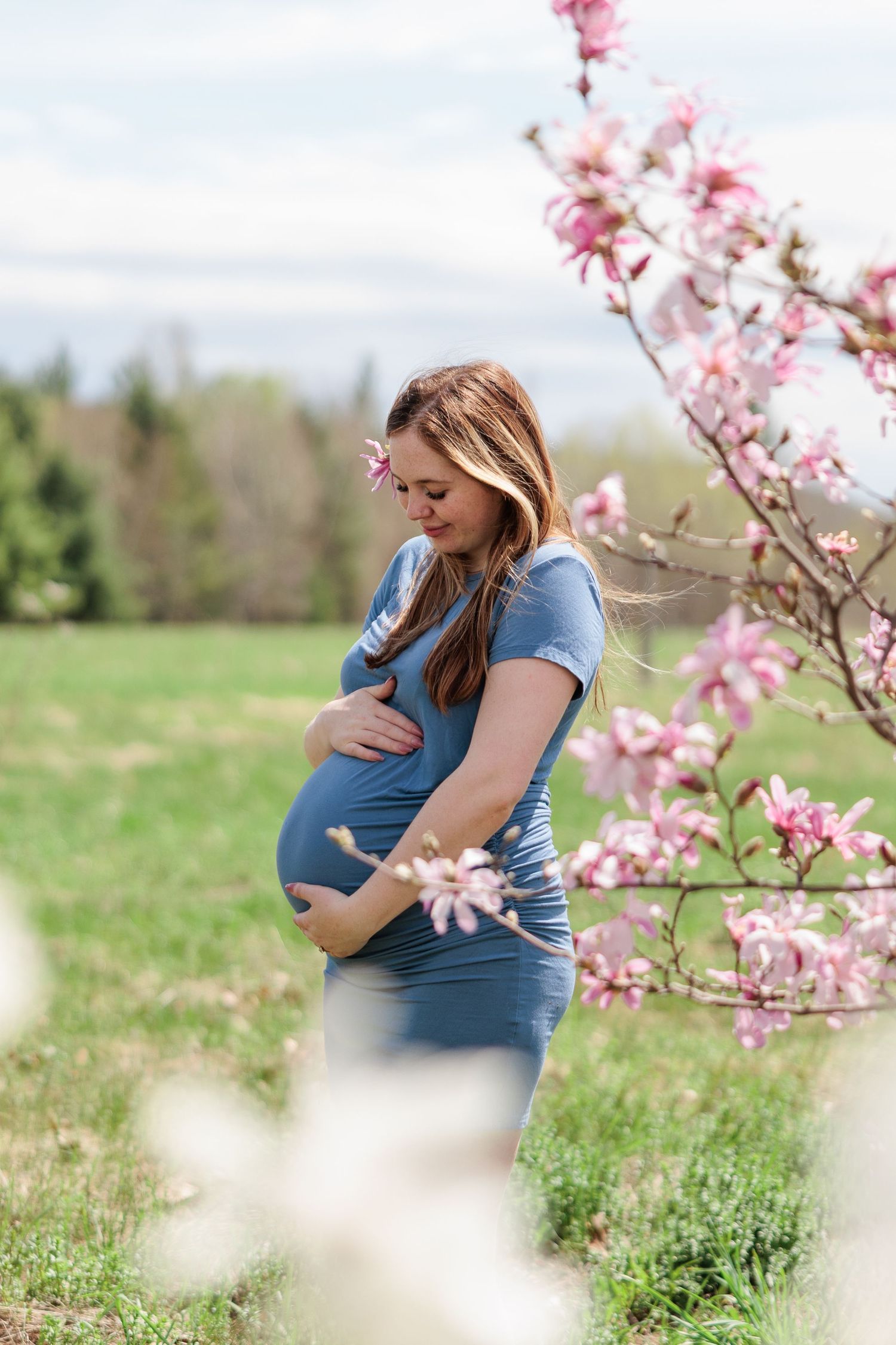 Pregnant woman in blue dress tenderly holding baby bump beside blooming pink magnolia tree in green field.