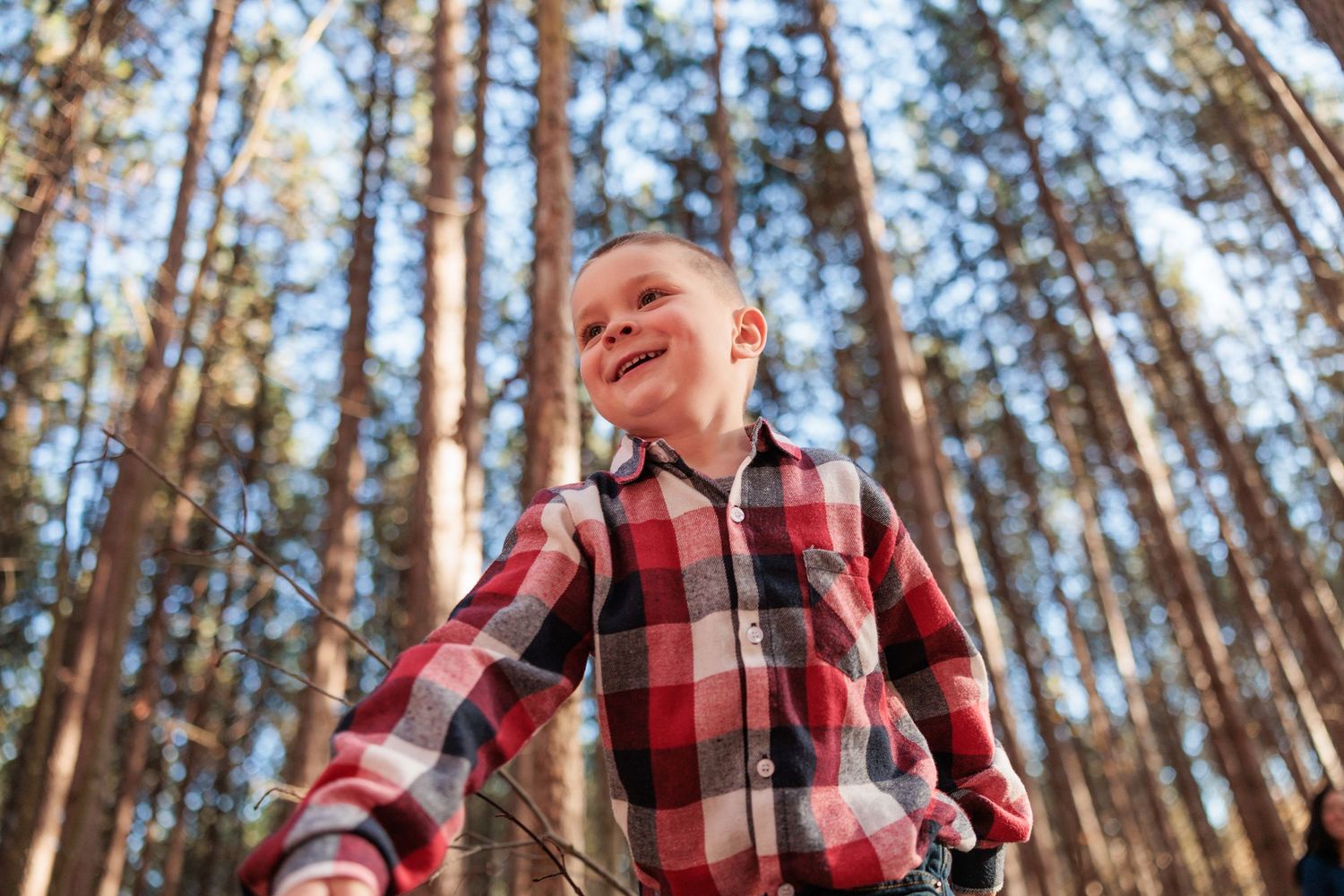 Happy young boy in red plaid shirt laughing joyfully among tall pine trees in forest.