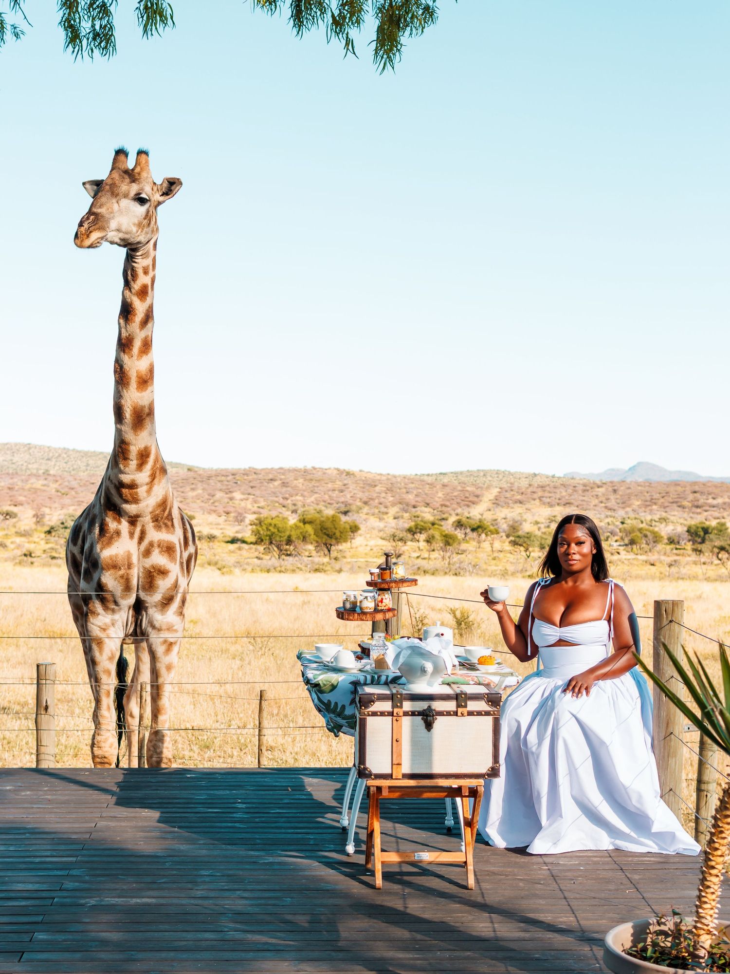 Voigtland Guesthouse high tea experience of guest feeding giraffe. travel content photographed for American tourist