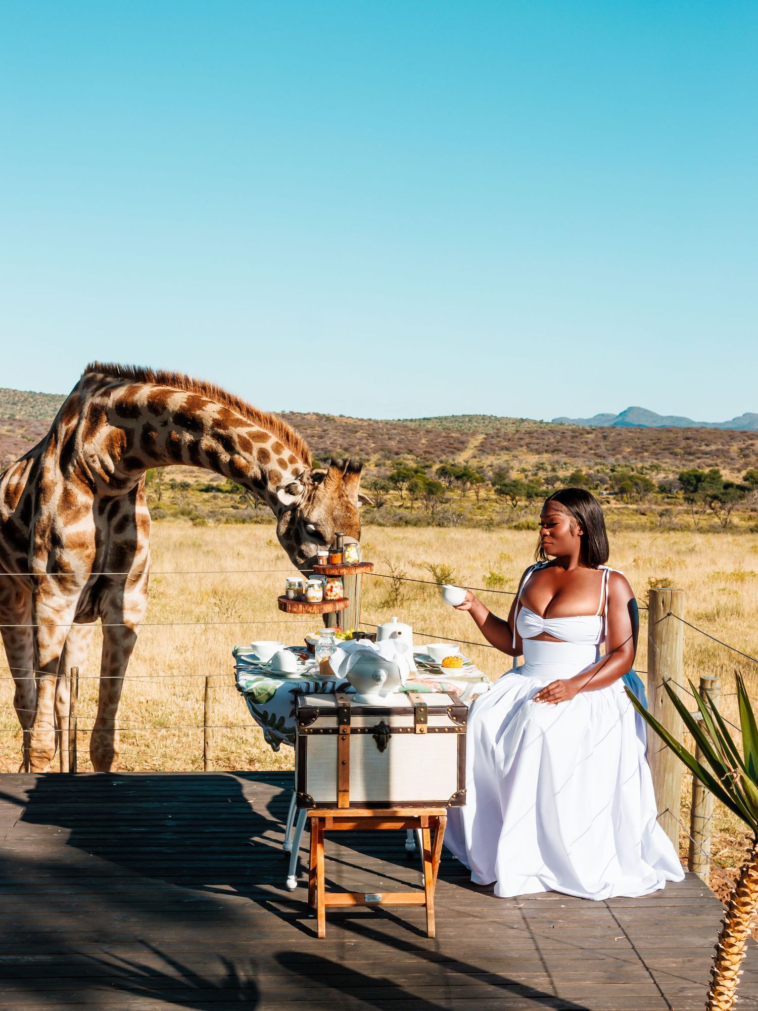 Voigtland Guesthouse high tea experience of guest feeding giraffe. travel content photographed for American tourist