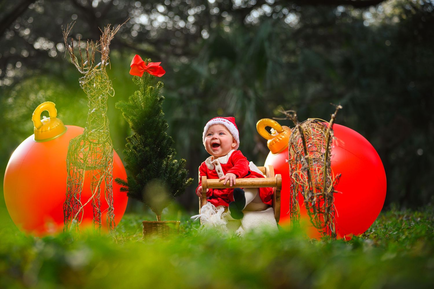 Joyful baby in Santa outfit laughs between large red ornament decorations in garden.
