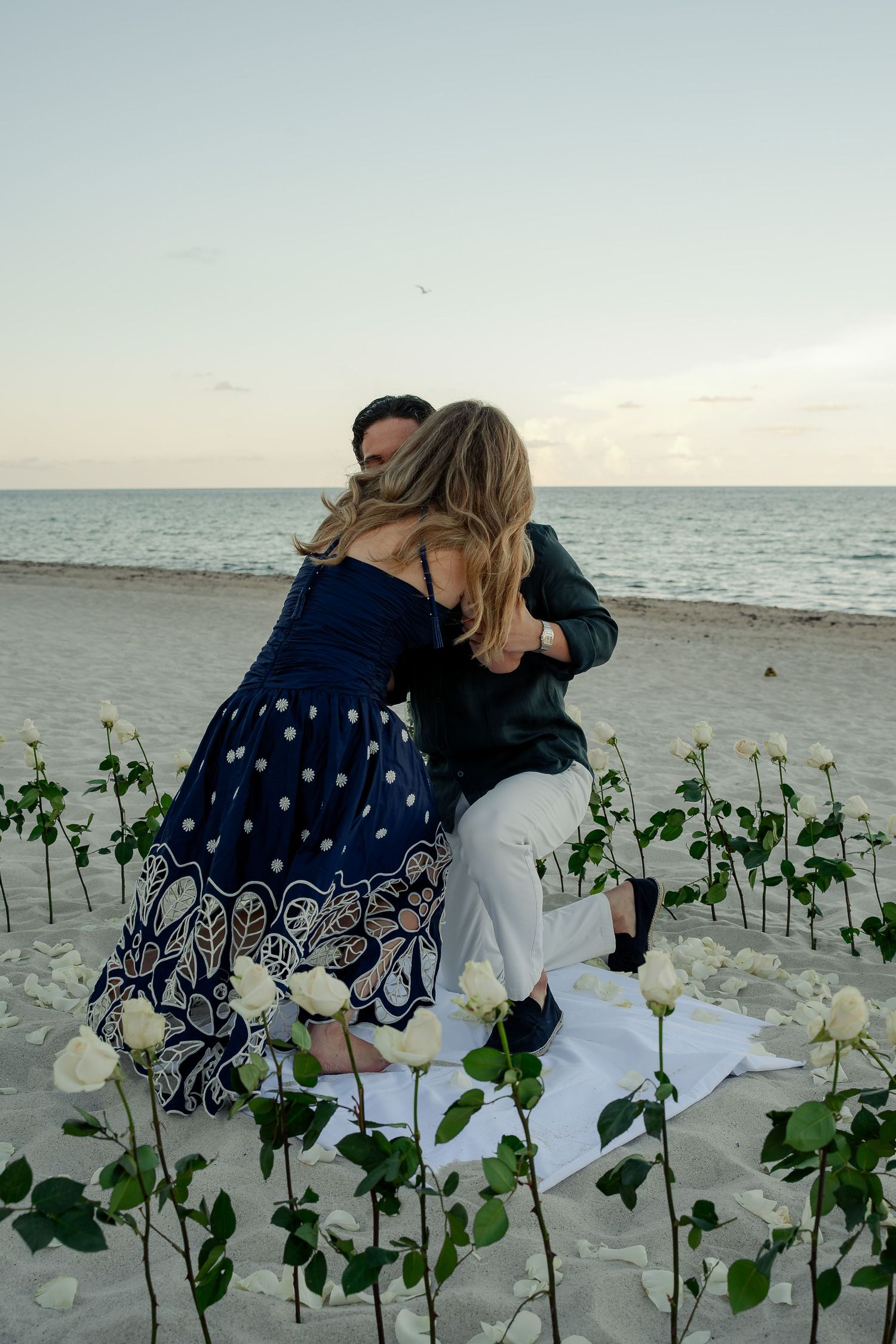 Romantic beach proposal with white roses in sand, man on one knee embracing woman in blue polka dot dress at sunset.
