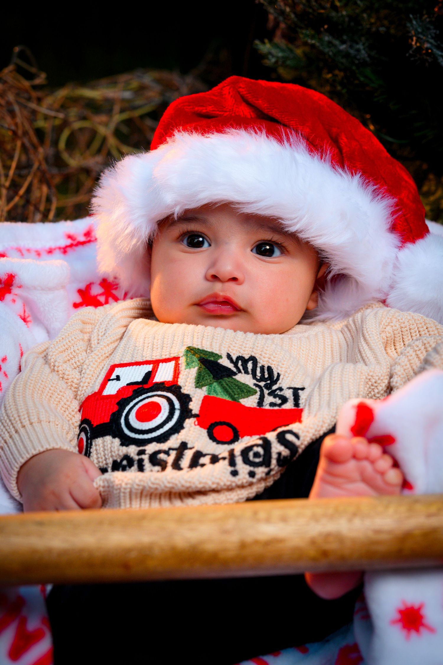 Baby in Santa hat wearing My 1st Christmas sweater with tractor design sits in wooden sleigh.