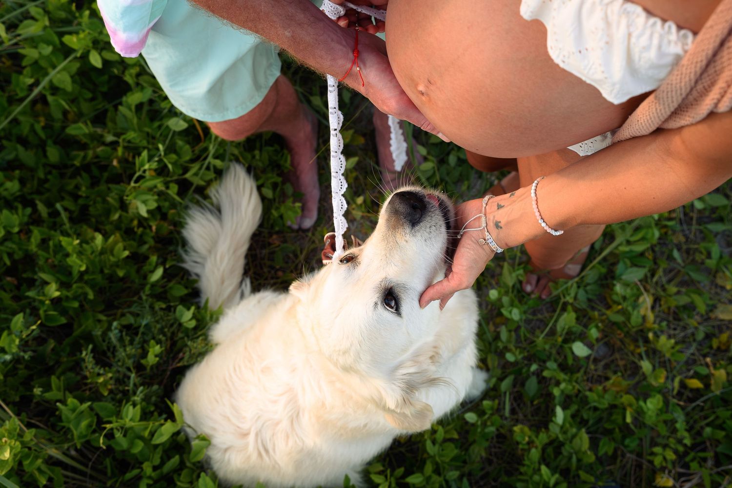 A fluffy white dog on a leash looks up adoringly while being petted by two people outdoors.