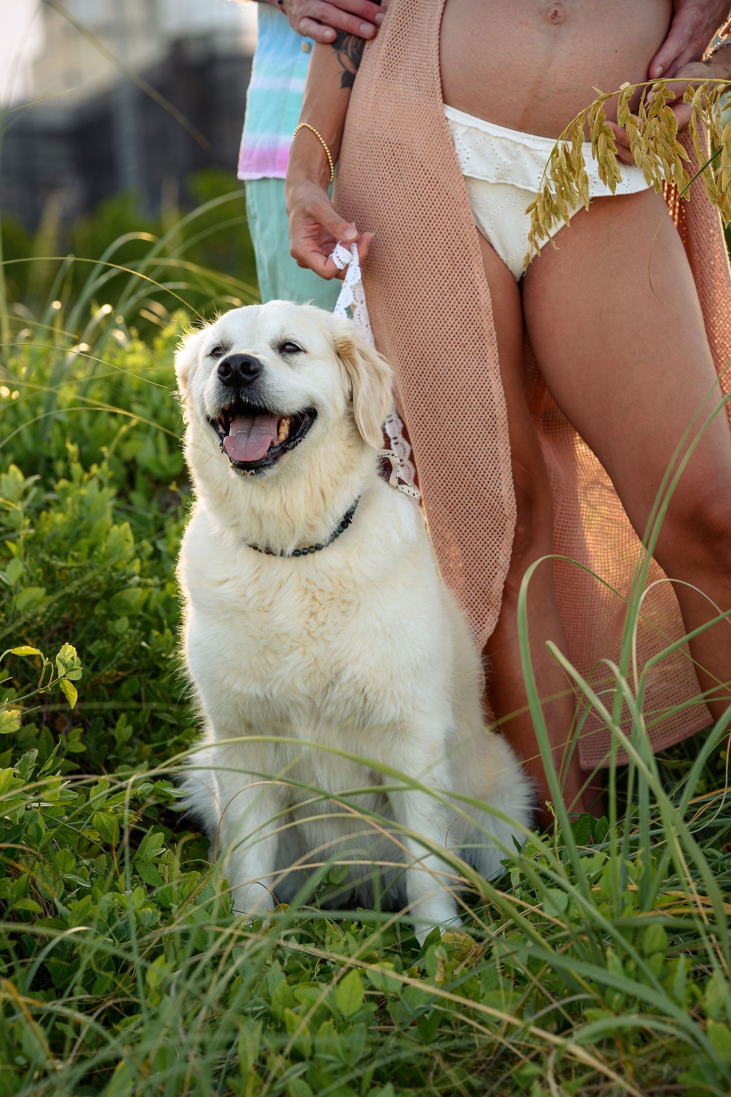 A happy golden retriever sits in green grass beside a person wearing shorts outdoors.