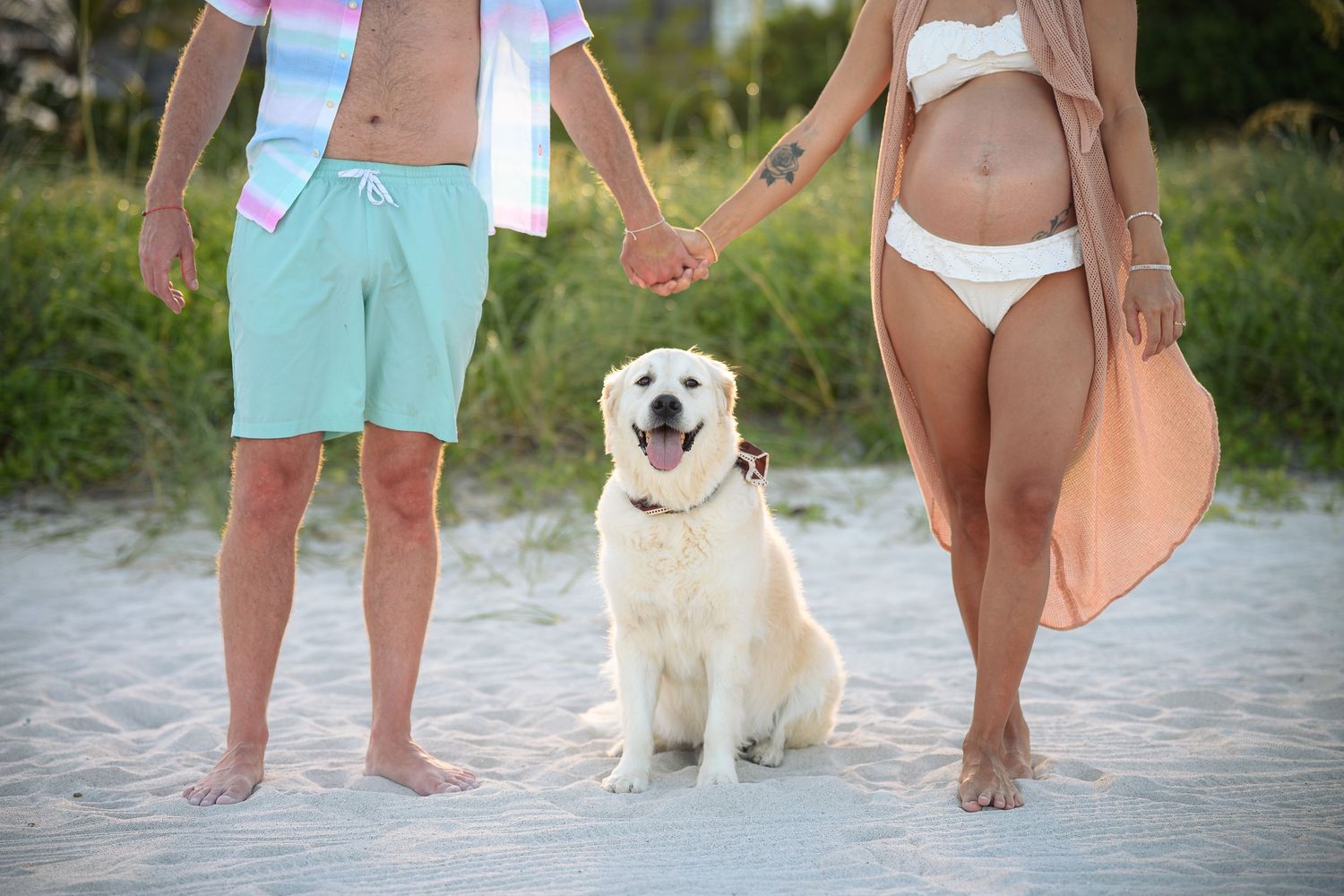 Pregnant couple holding hands on beach with white Golden Retriever dog sitting between them in the sand.