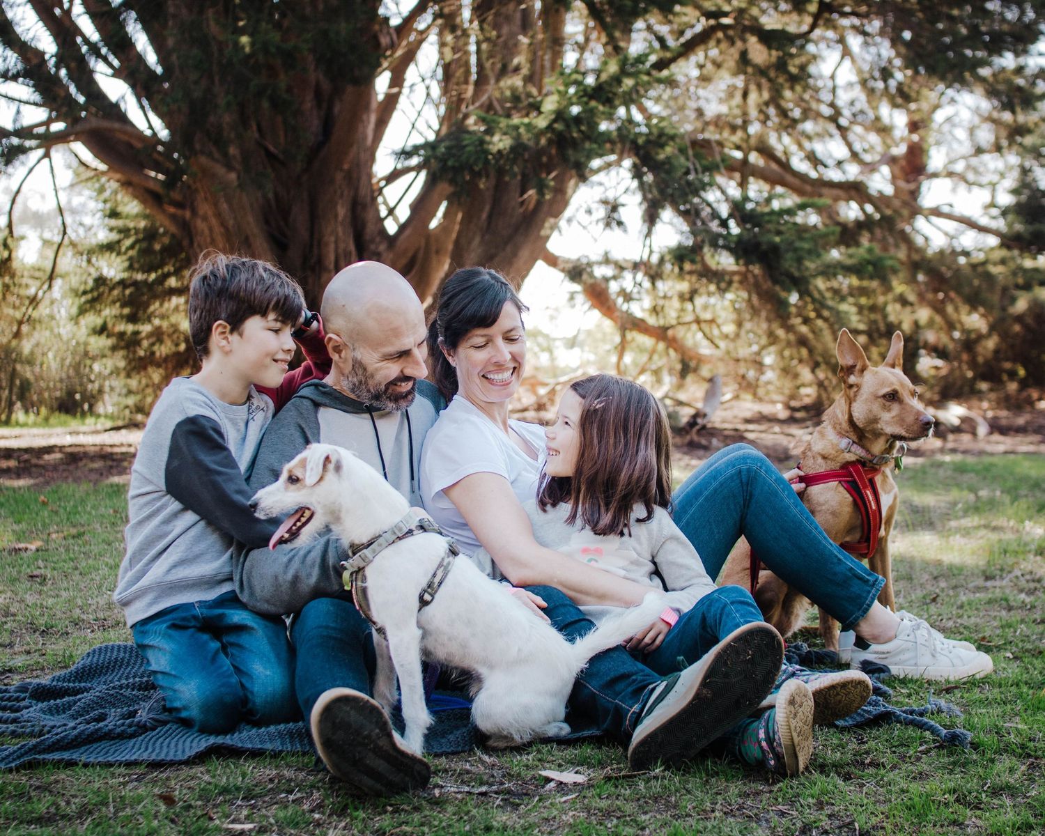 Family photography session outdoors in Mount Eliza, relaxed natural moment with parents and children sitting together under a tree
