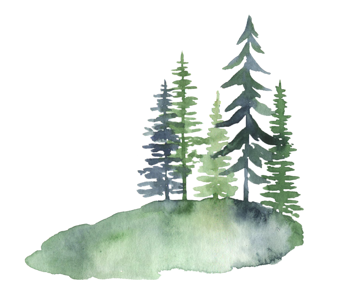 Watercolor painting of green pine trees on a misty hill with soft washes of color.
