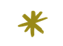 A bright yellow-green asterisk or star-shaped symbol with multiple pointed rays on a white background.
