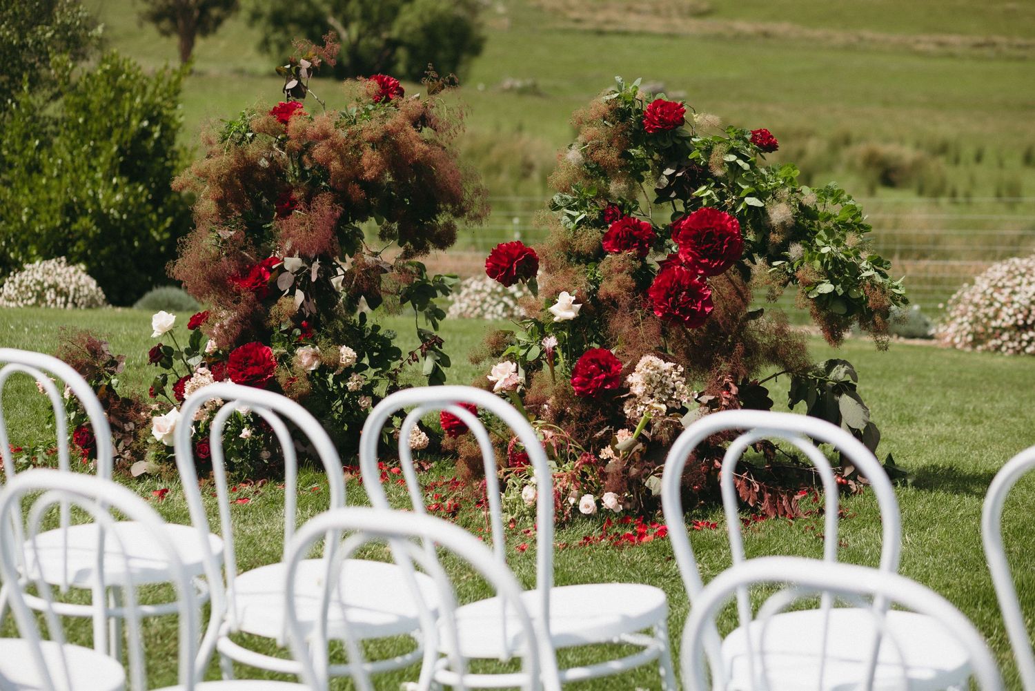Outdoor wedding ceremony setup with white bentwood chairs and red rose floral arch.